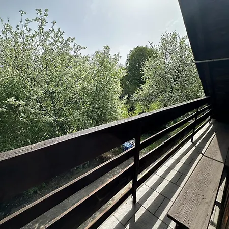 Cozy With A Private Yard *